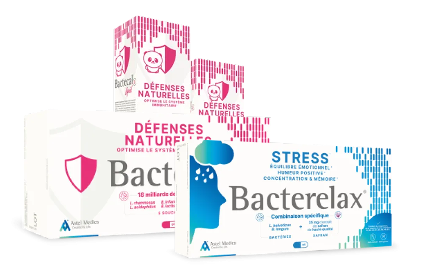 Une gamme pensée pour différents besoins